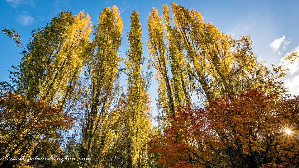 Photo from Washington State