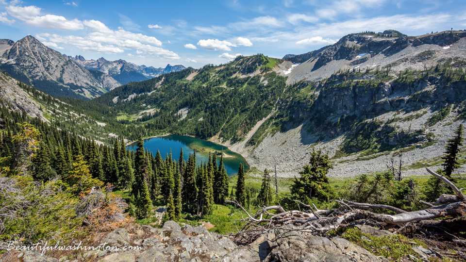 Photo from Washington State