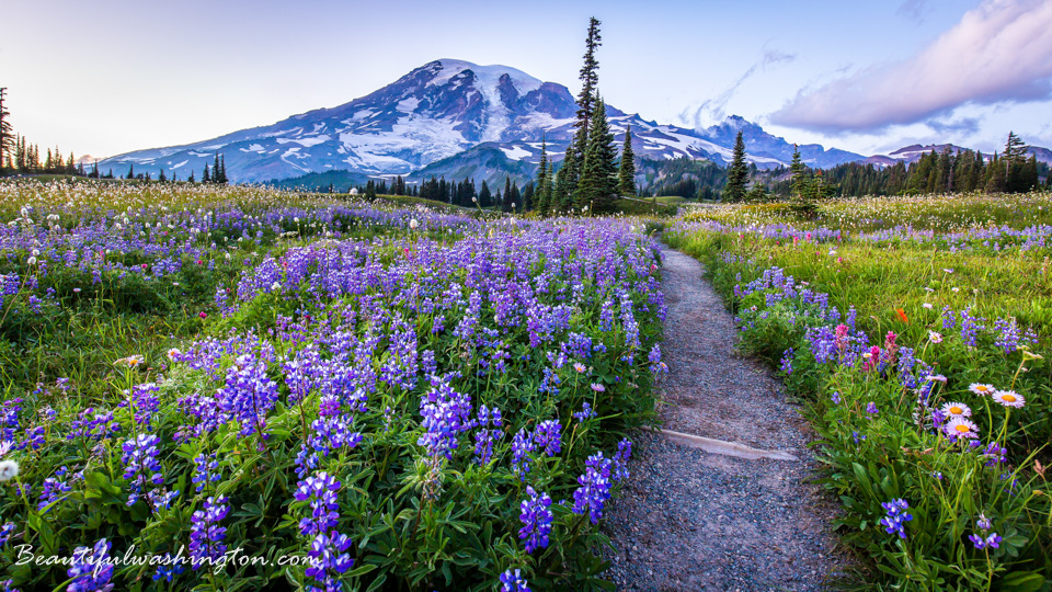 Photo from Washington State