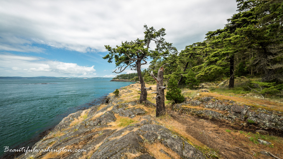 Photo from Washington State