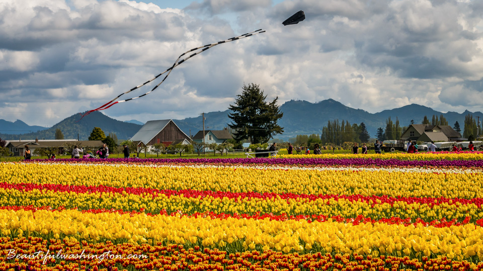 Photo from Washington State