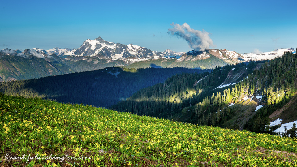 Photo from Washington State