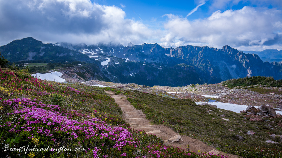 Photo from Washington State