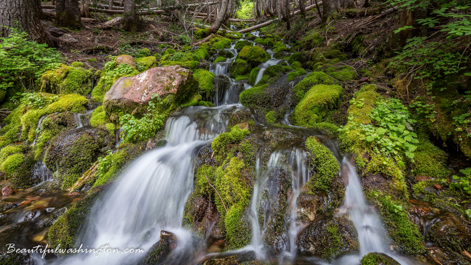 Photo from Washington State