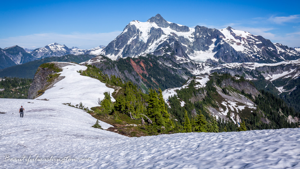 Photo from Washington State