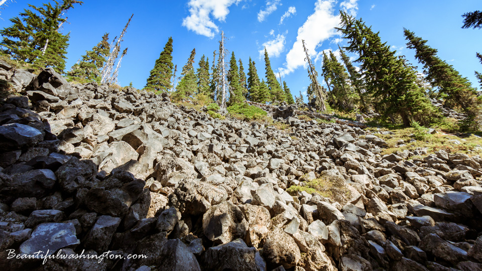 Photo from Washington State