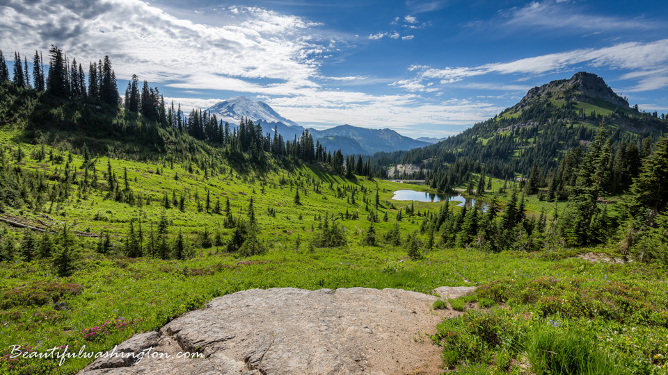 Photo from Washington State