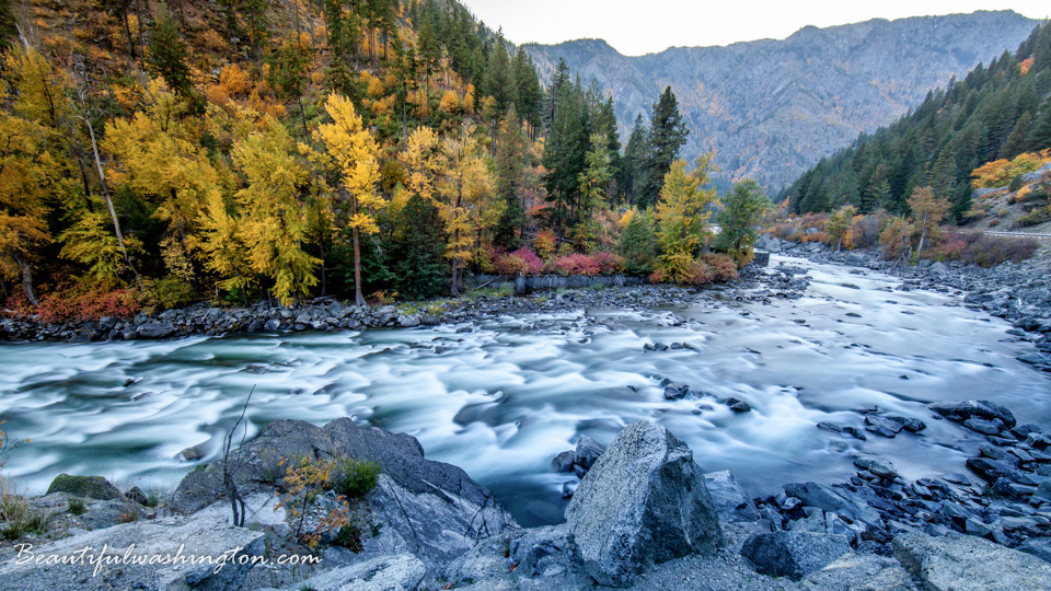 Photo from Washington State