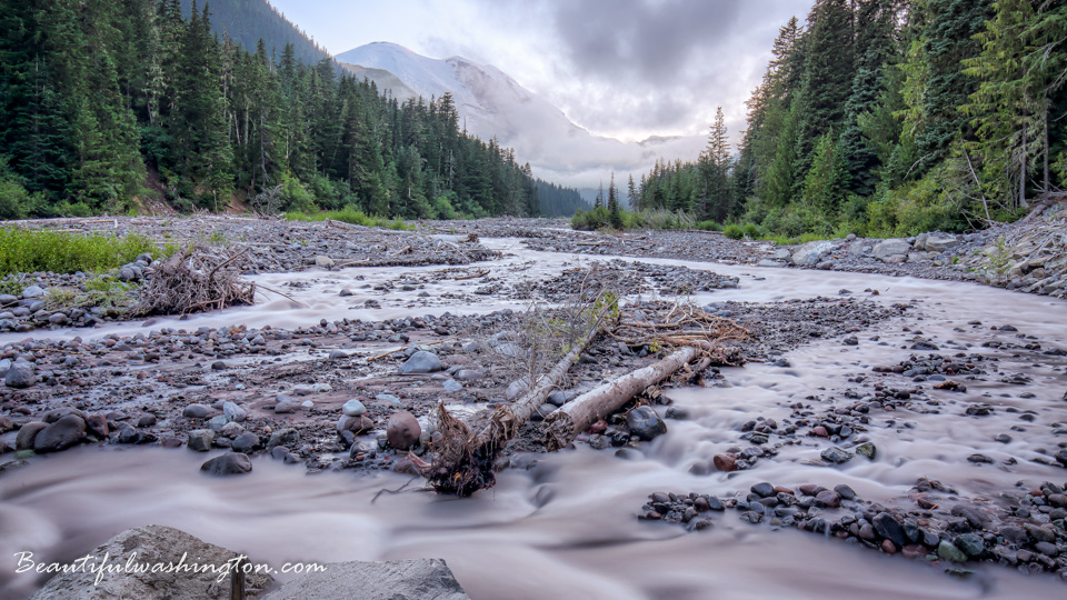 Photo from Washington State