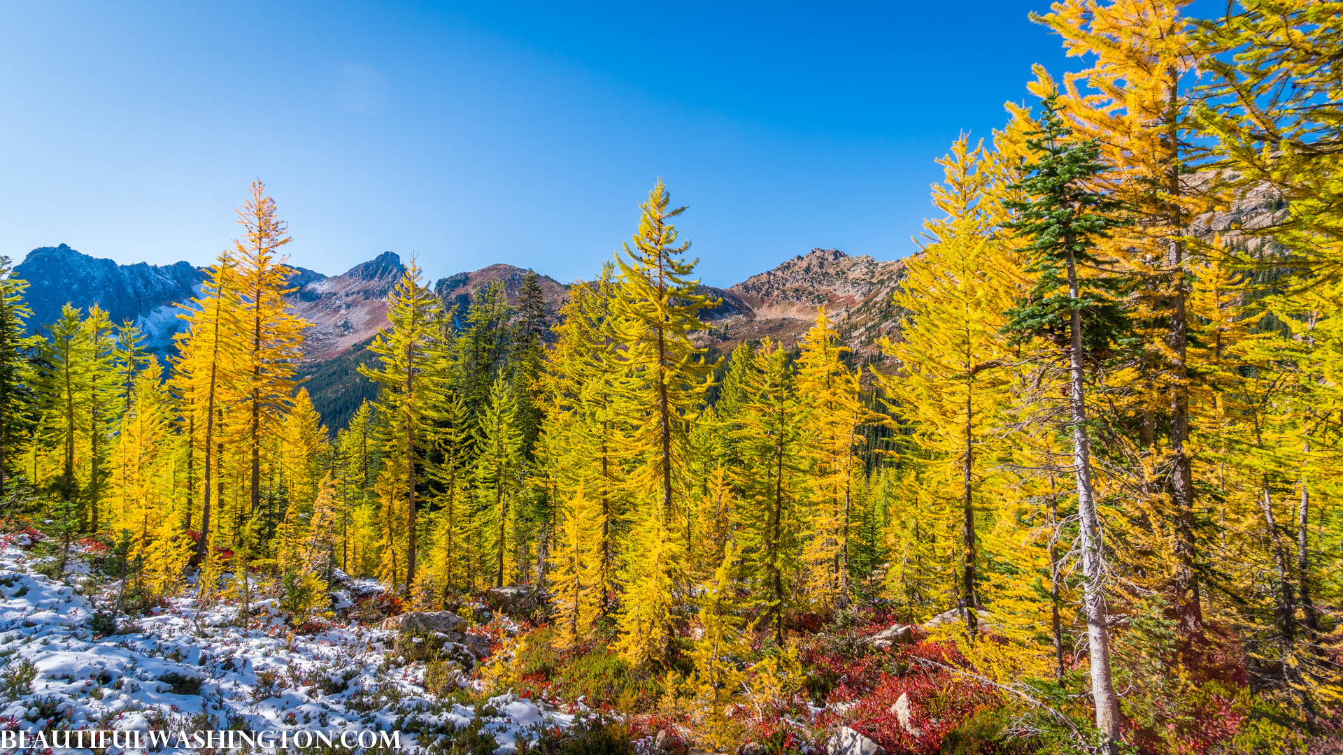 Photo from Washington State