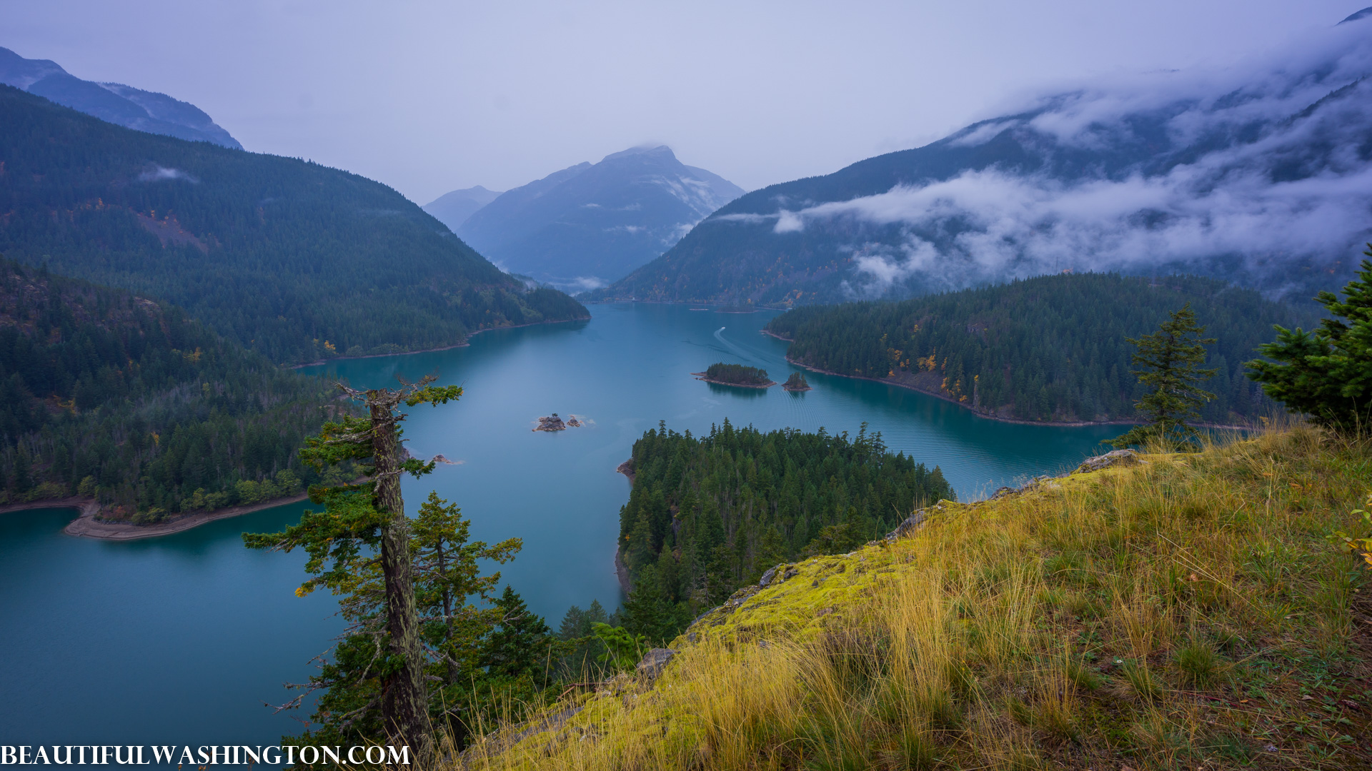 Photo from Washington State