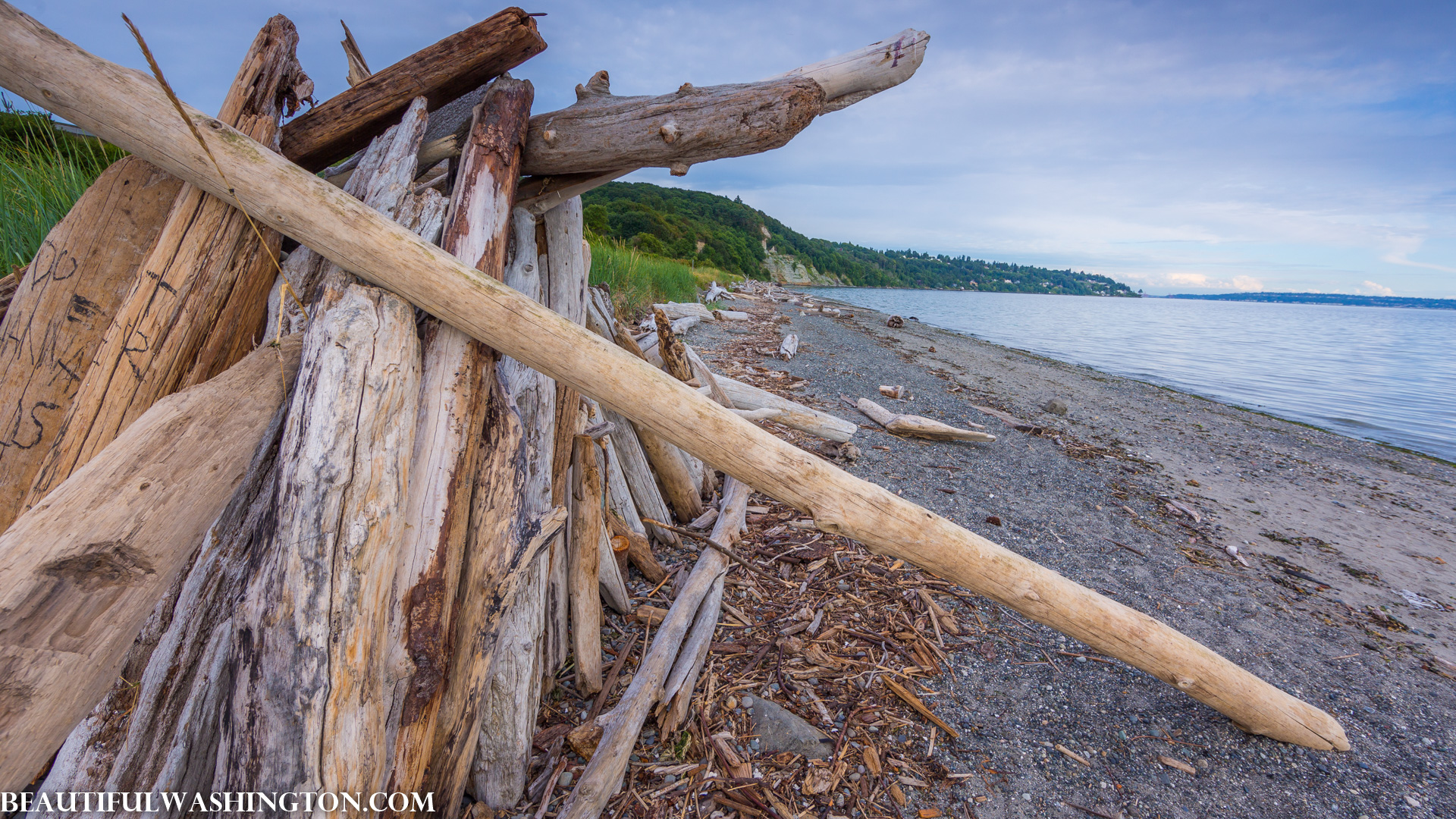 Photo from Washington State