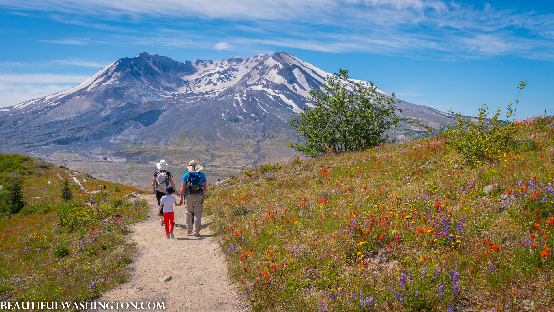 Photo from Washington State