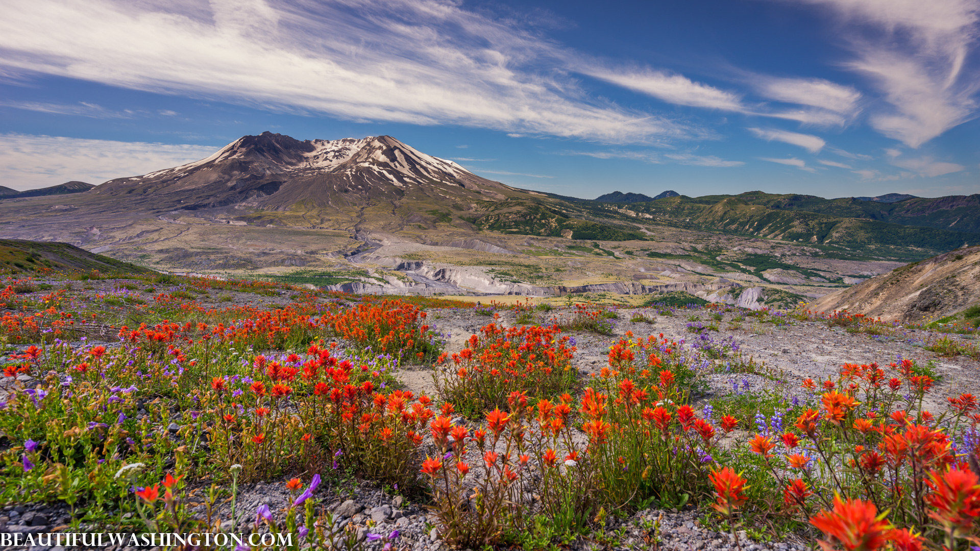 Photo from Washington State