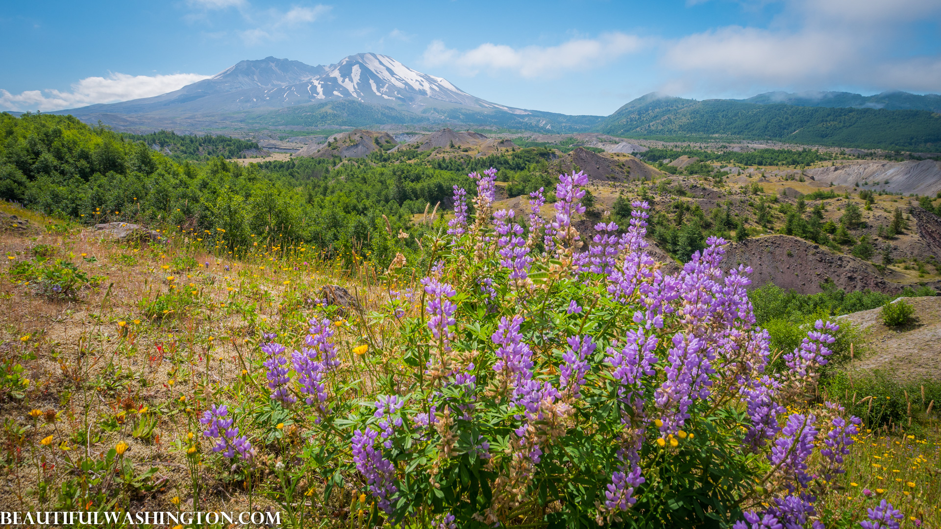 Photo from Washington State