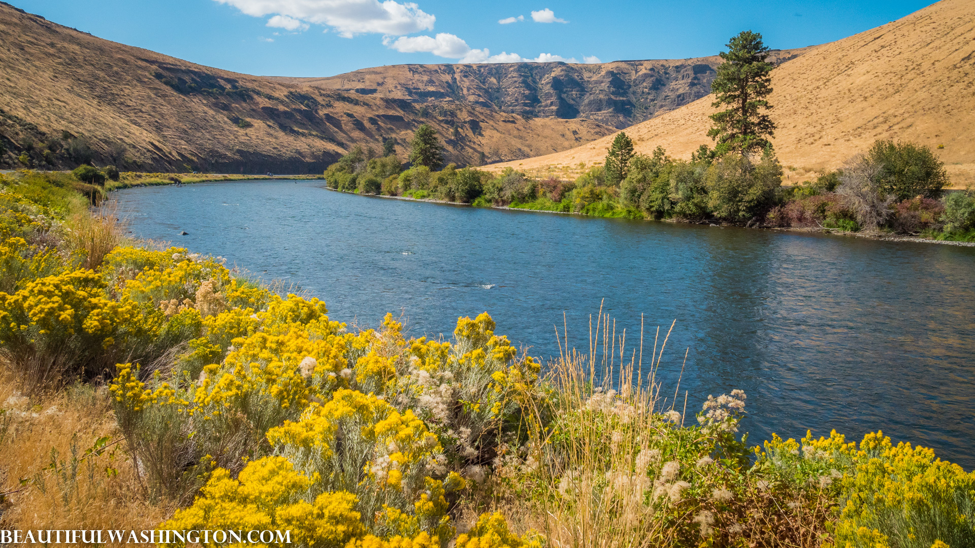 Photo from Washington State