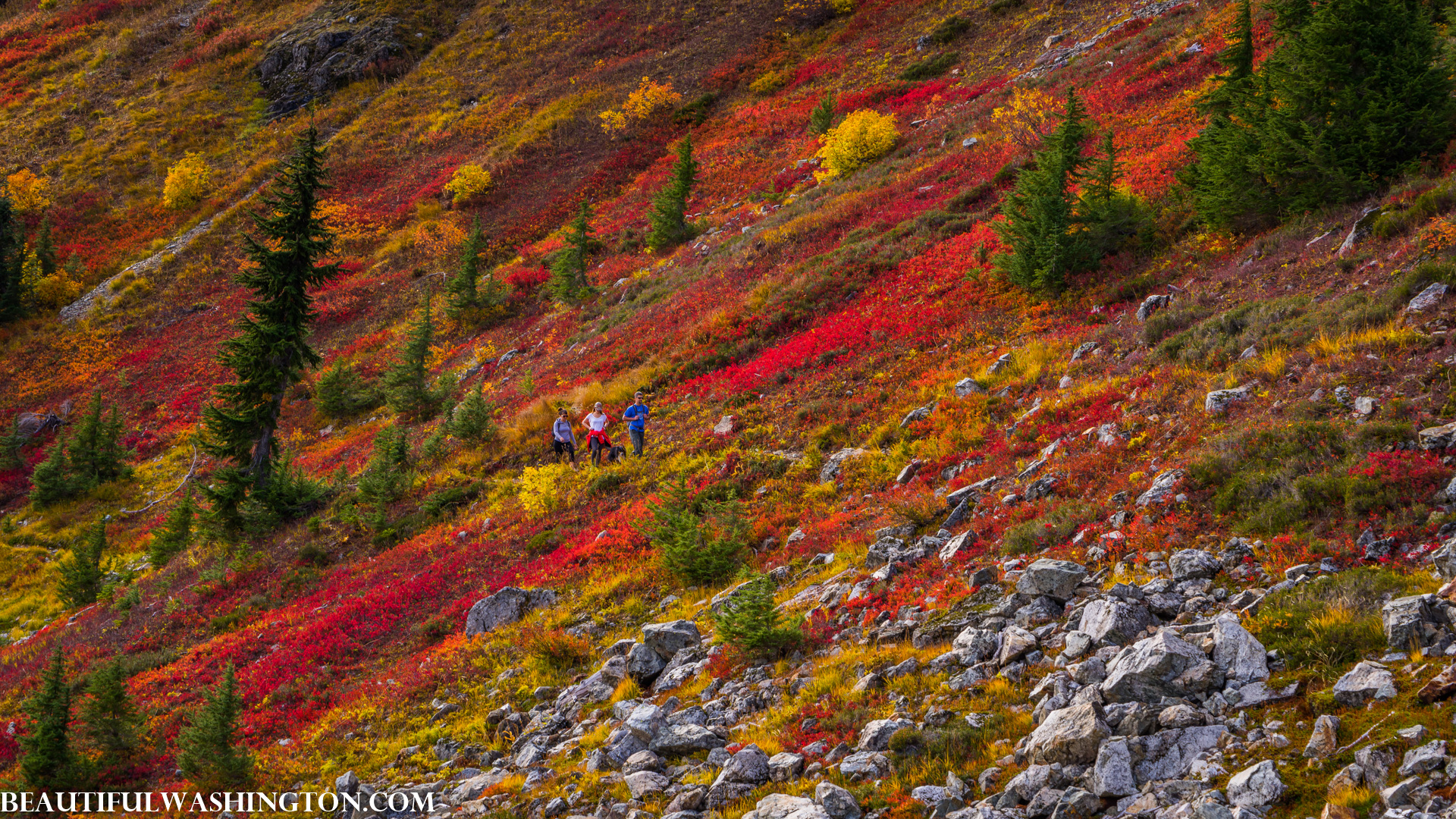 Photo from Washington State