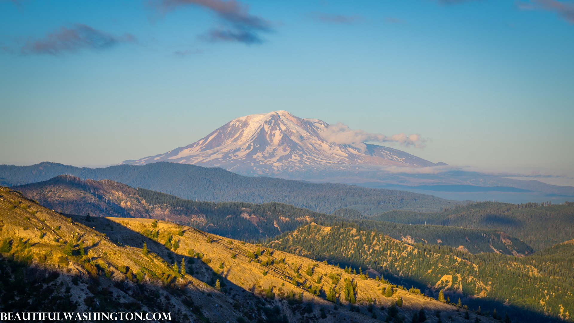 Photo from Washington State