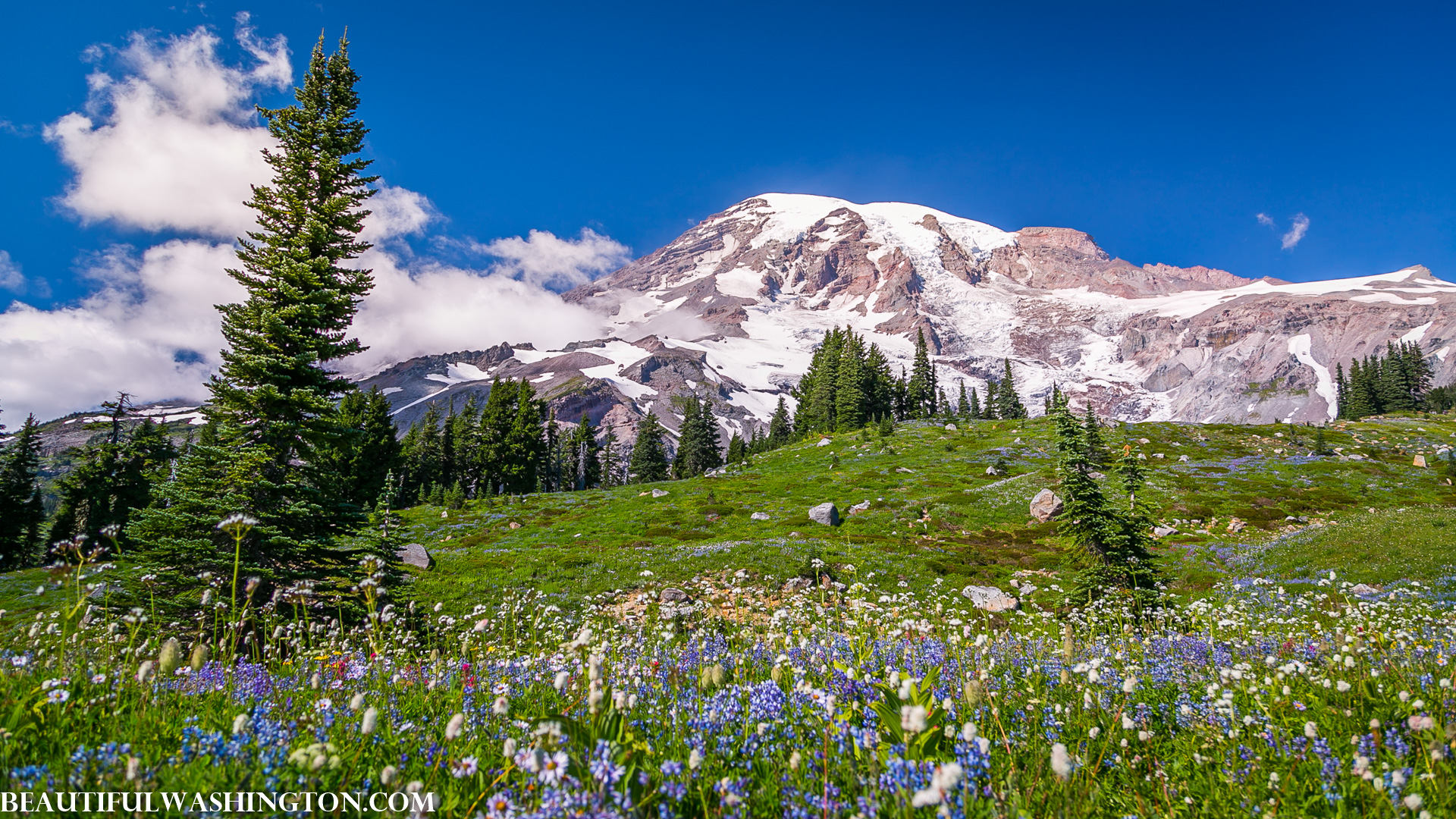 Photo from Washington State