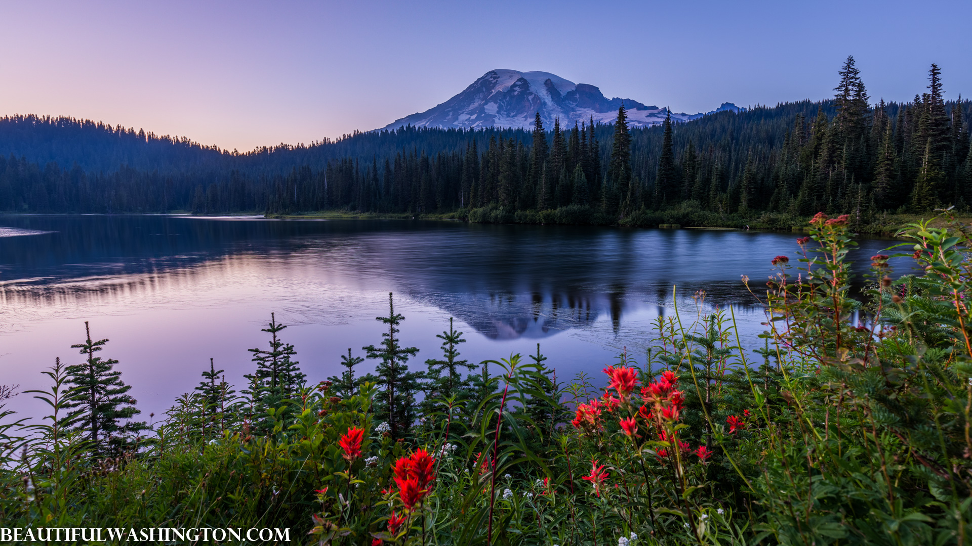 Photo from Washington State