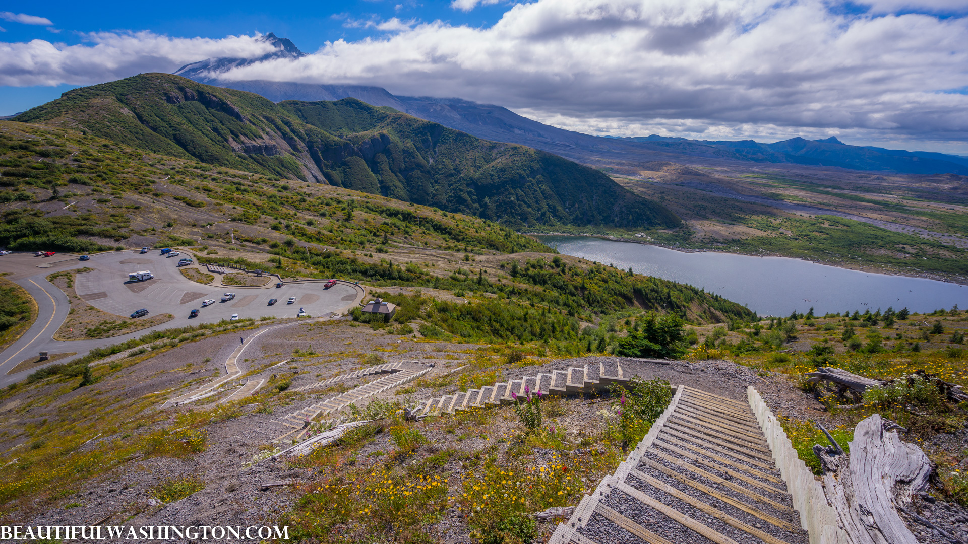 Photo from Washington State