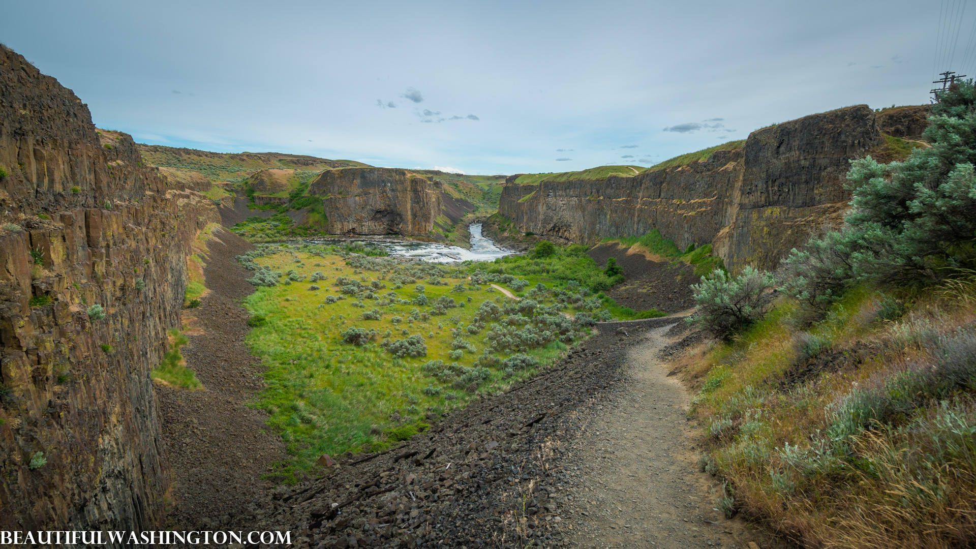 Photo from Washington State