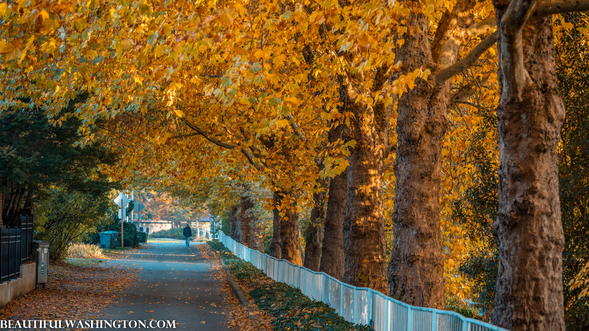 Photo from Washington State