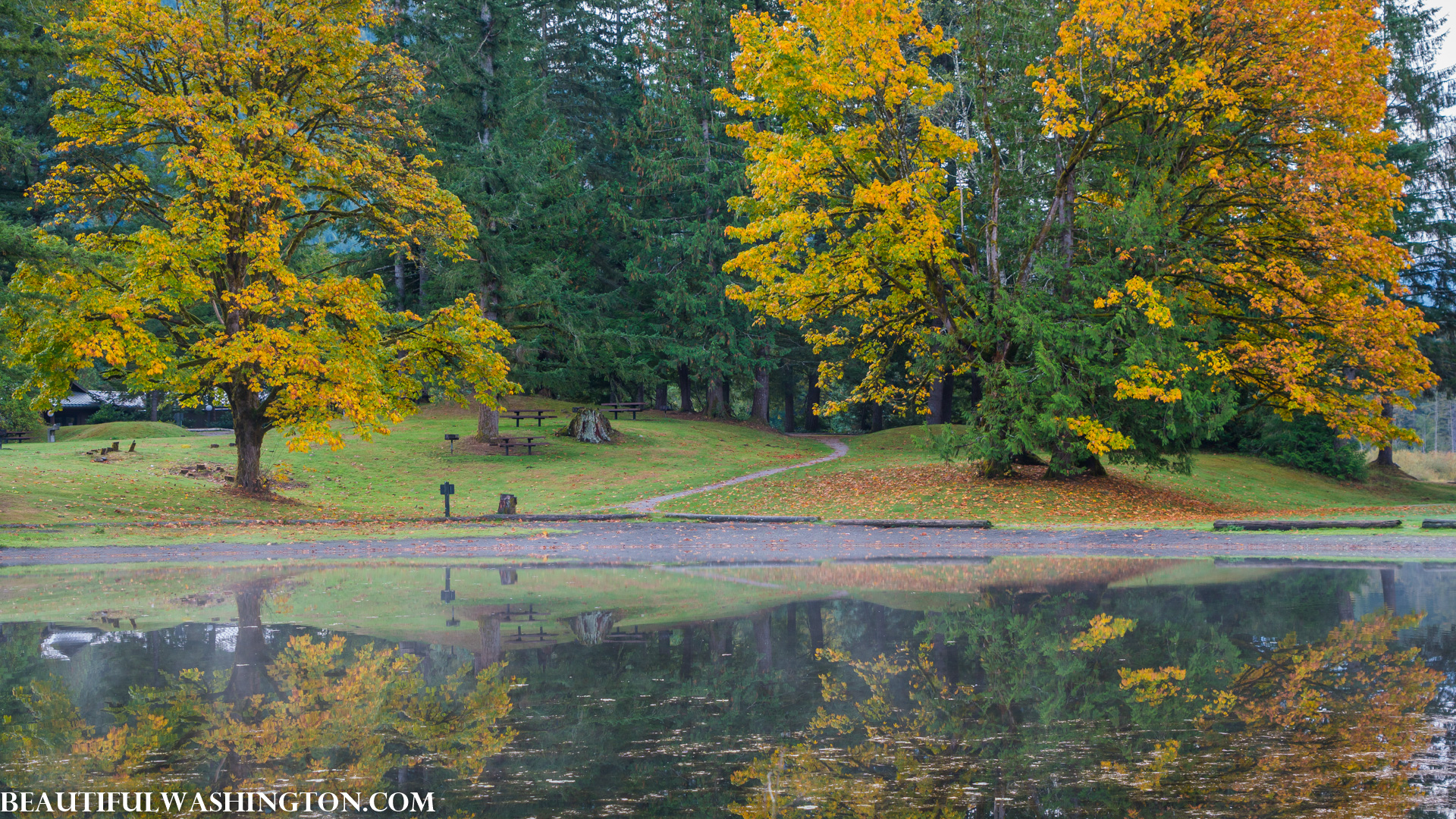 Photo from Washington State