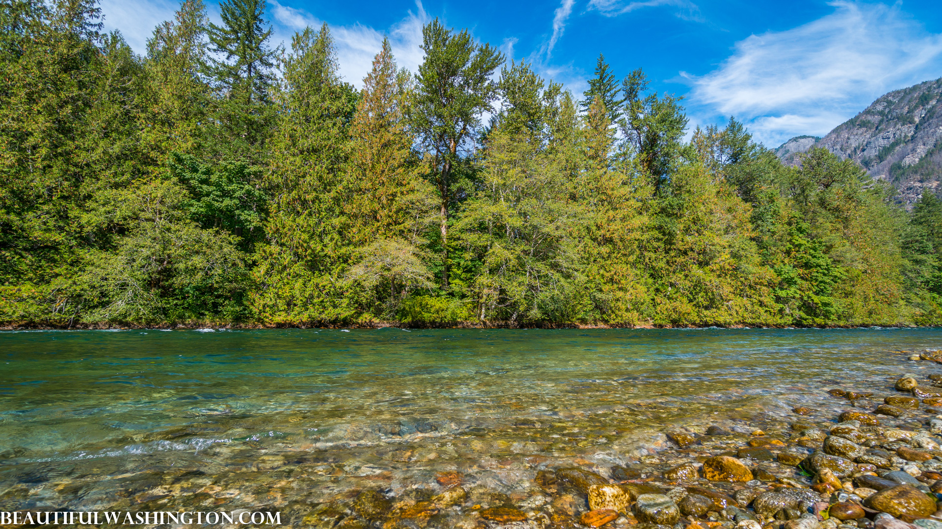 Photo from Washington State