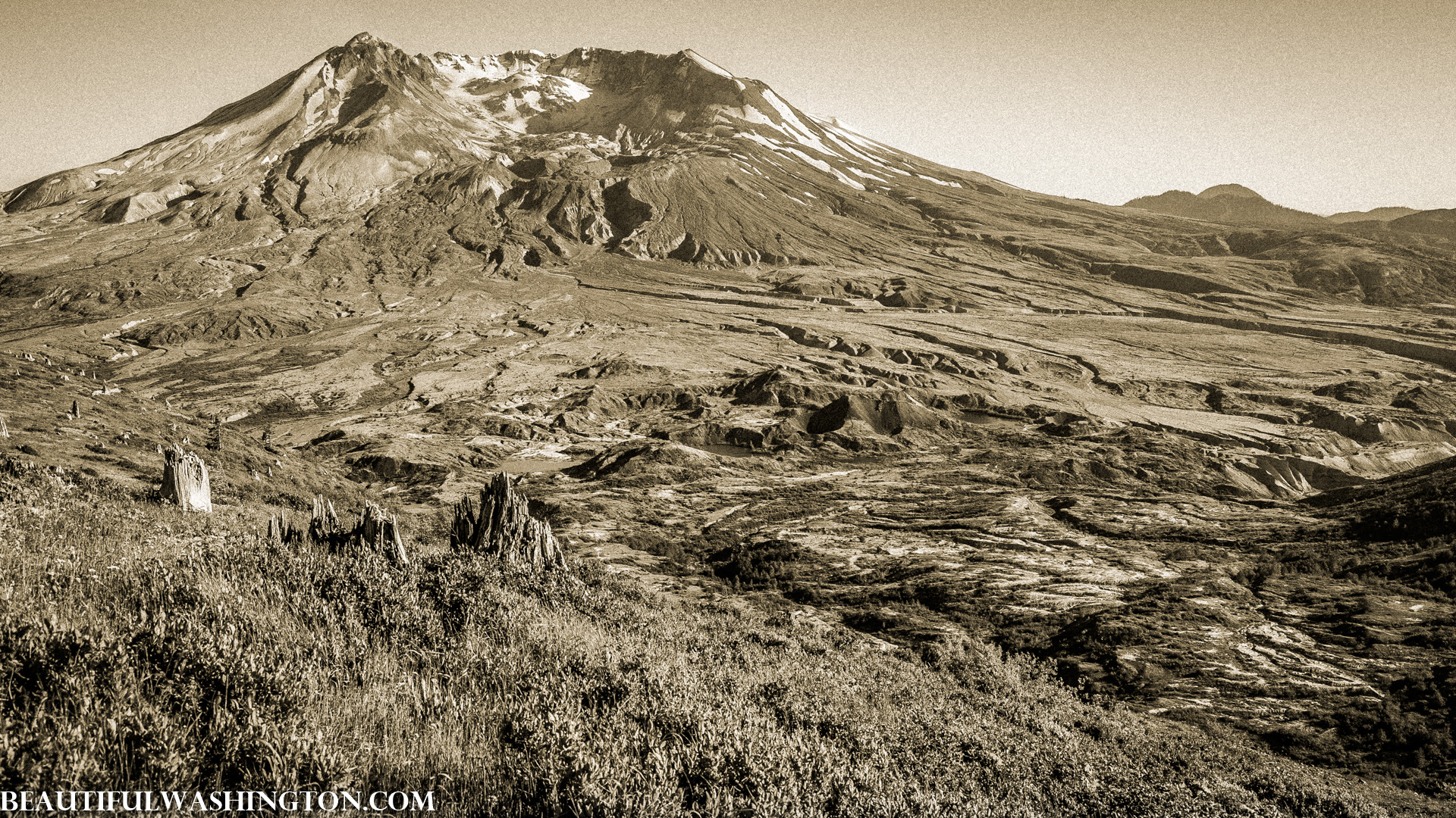 Photo from Washington State