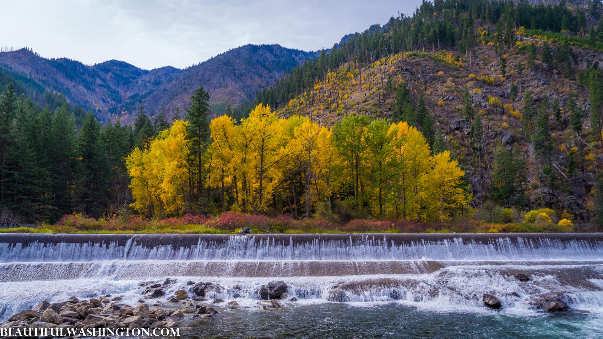 Photo from Washington State