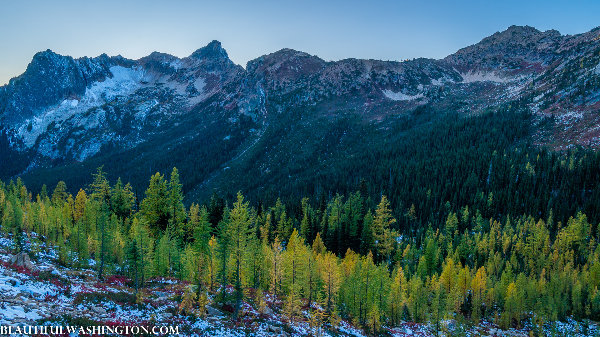 Photo from Washington State