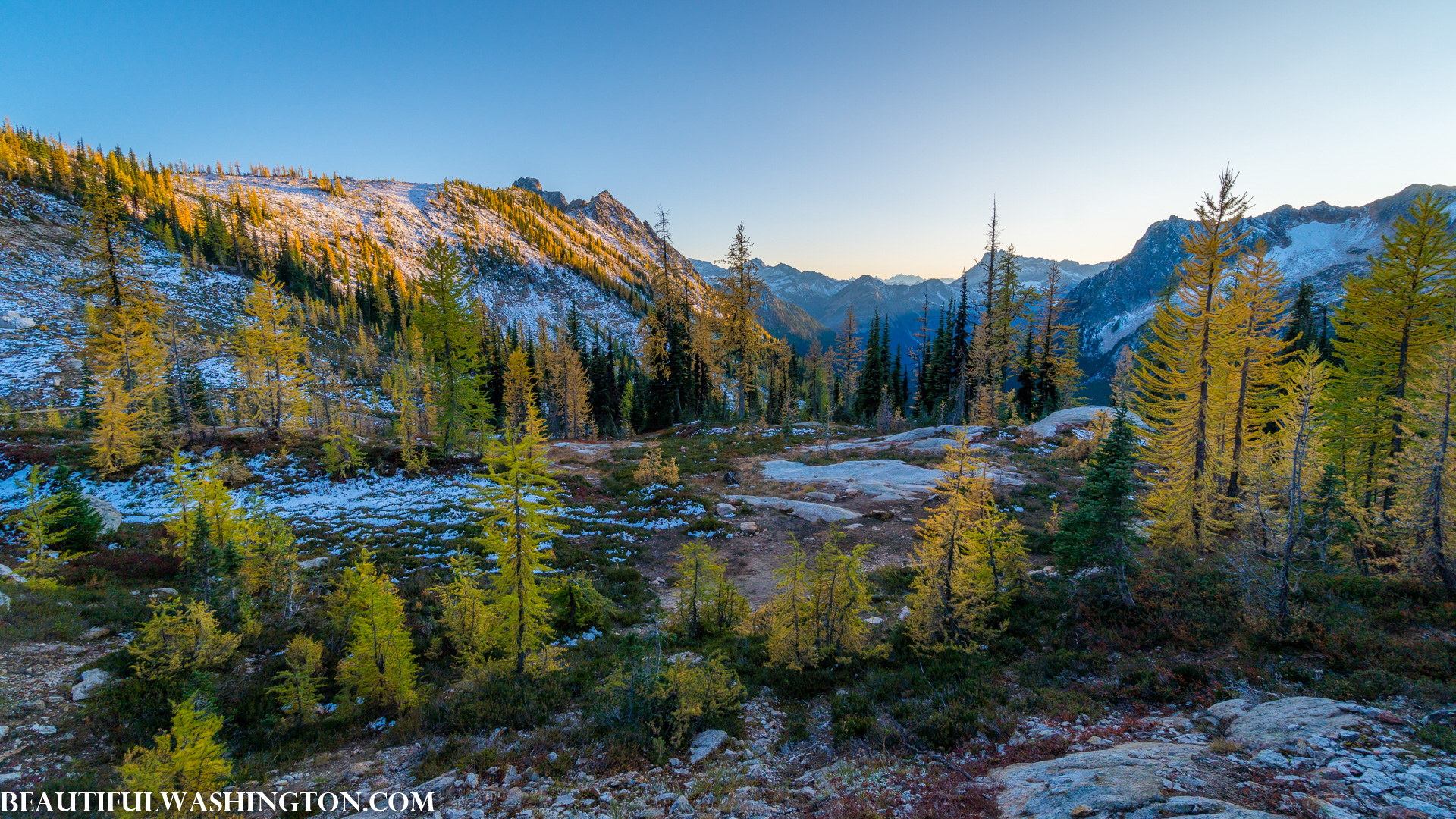 Photo from Washington State