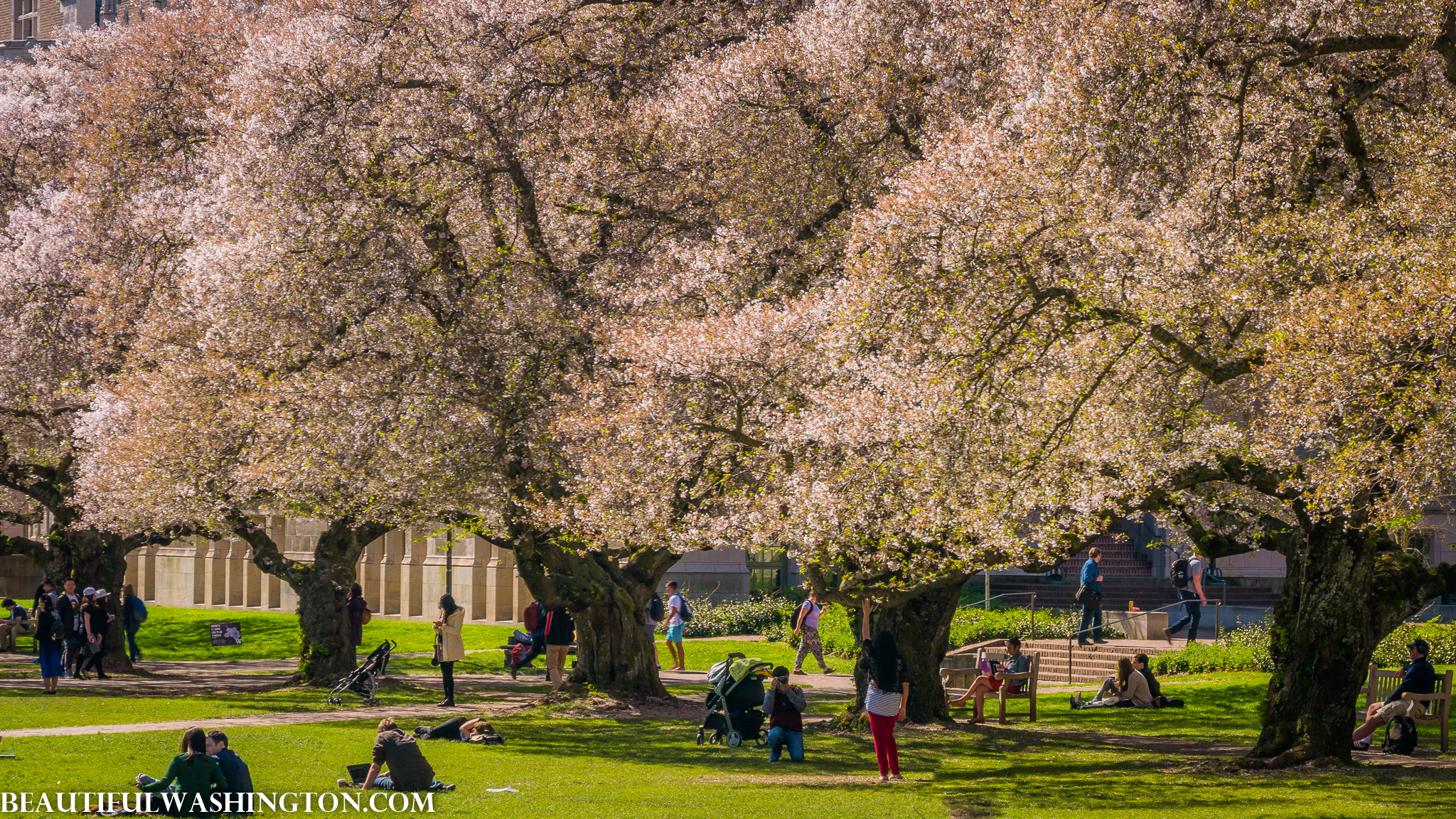 Photo from Washington State