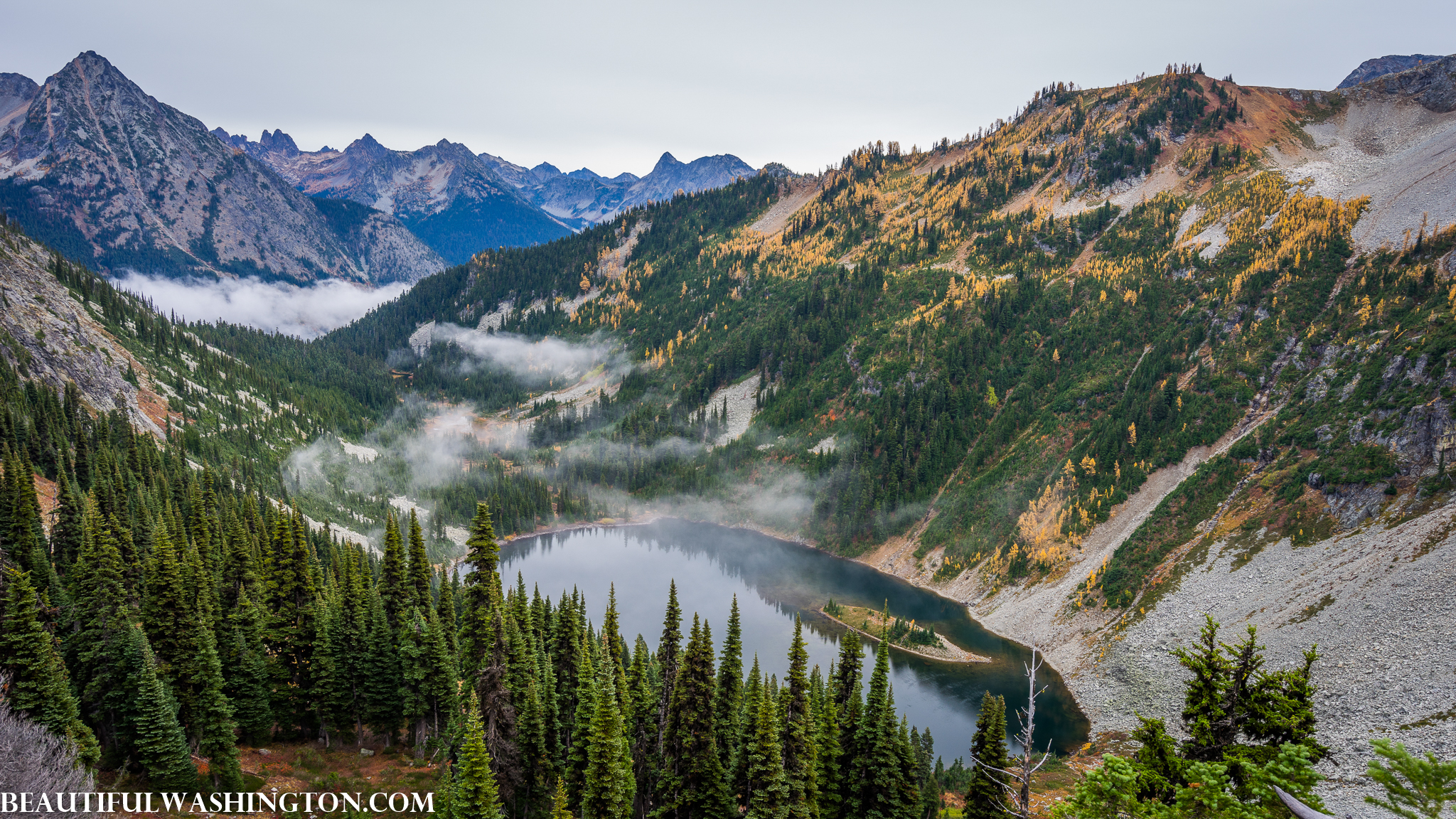 Photo from Washington State