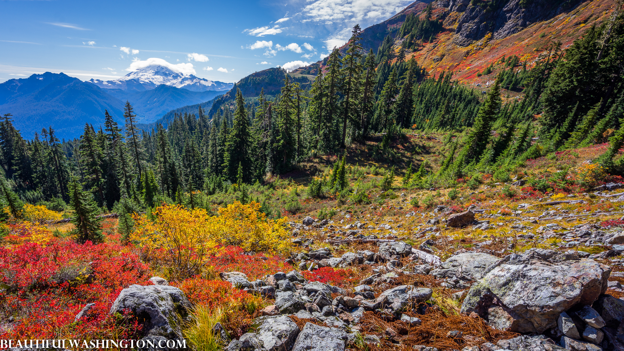 Photo from Washington State