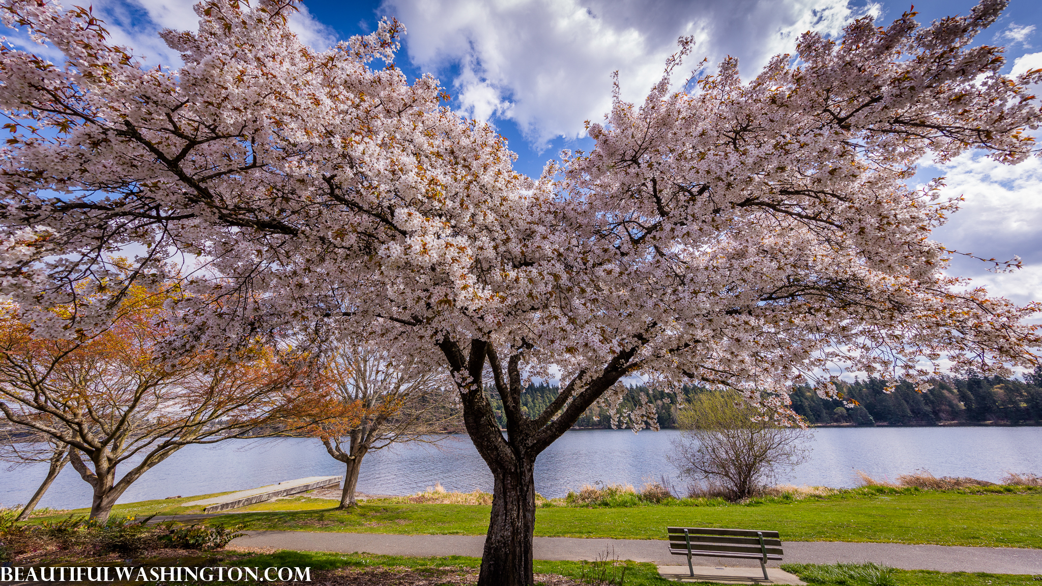 Photo from Washington State