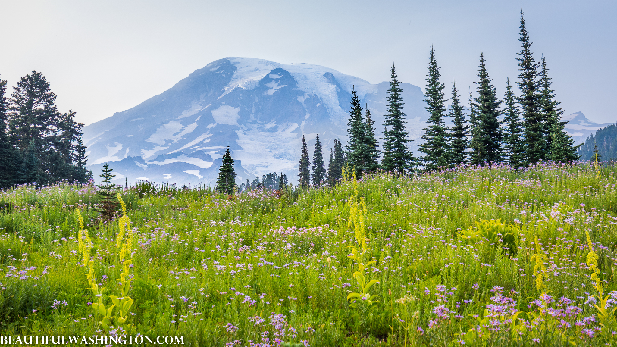 Photo from Washington State