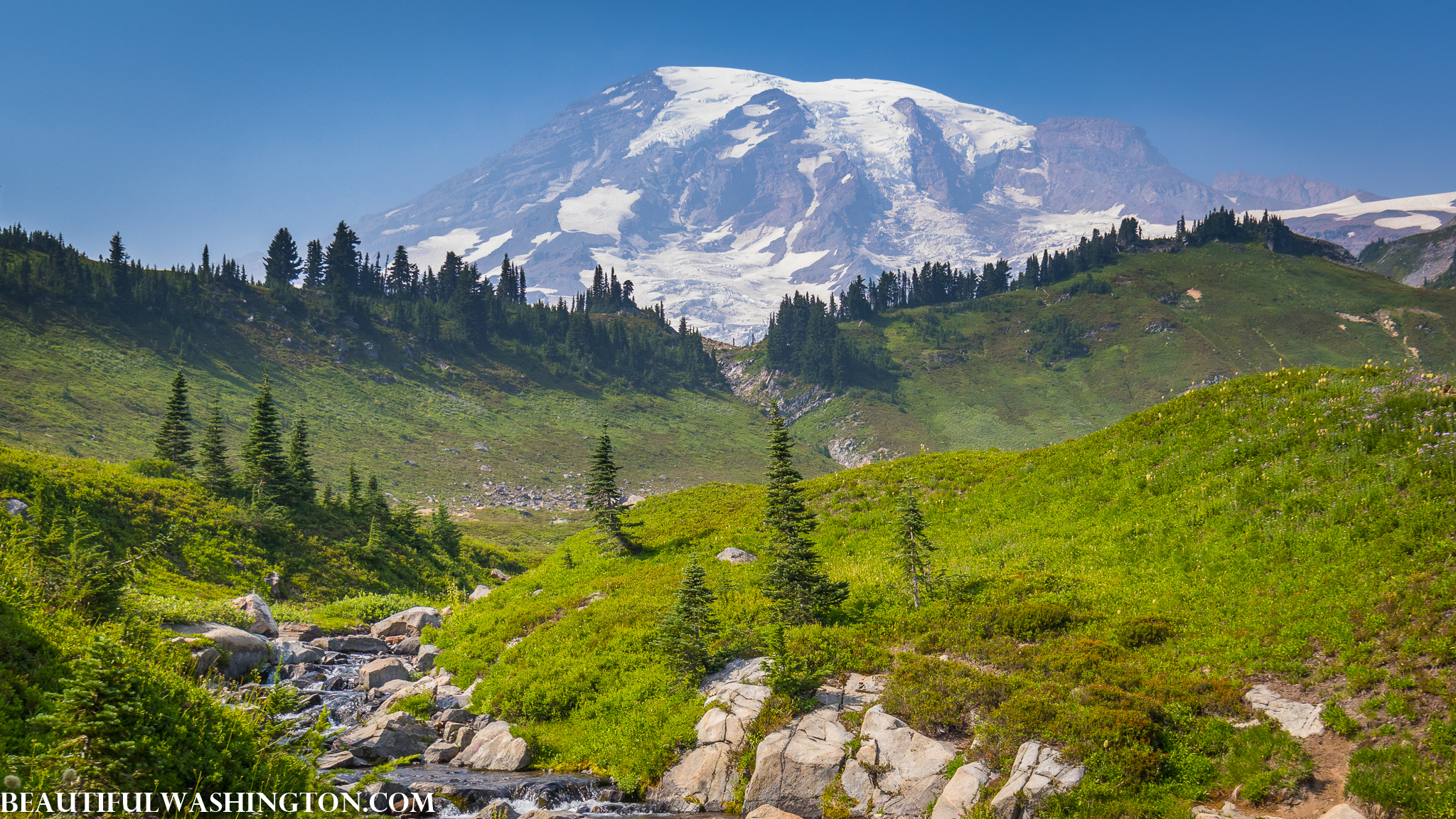 Photo from Washington State