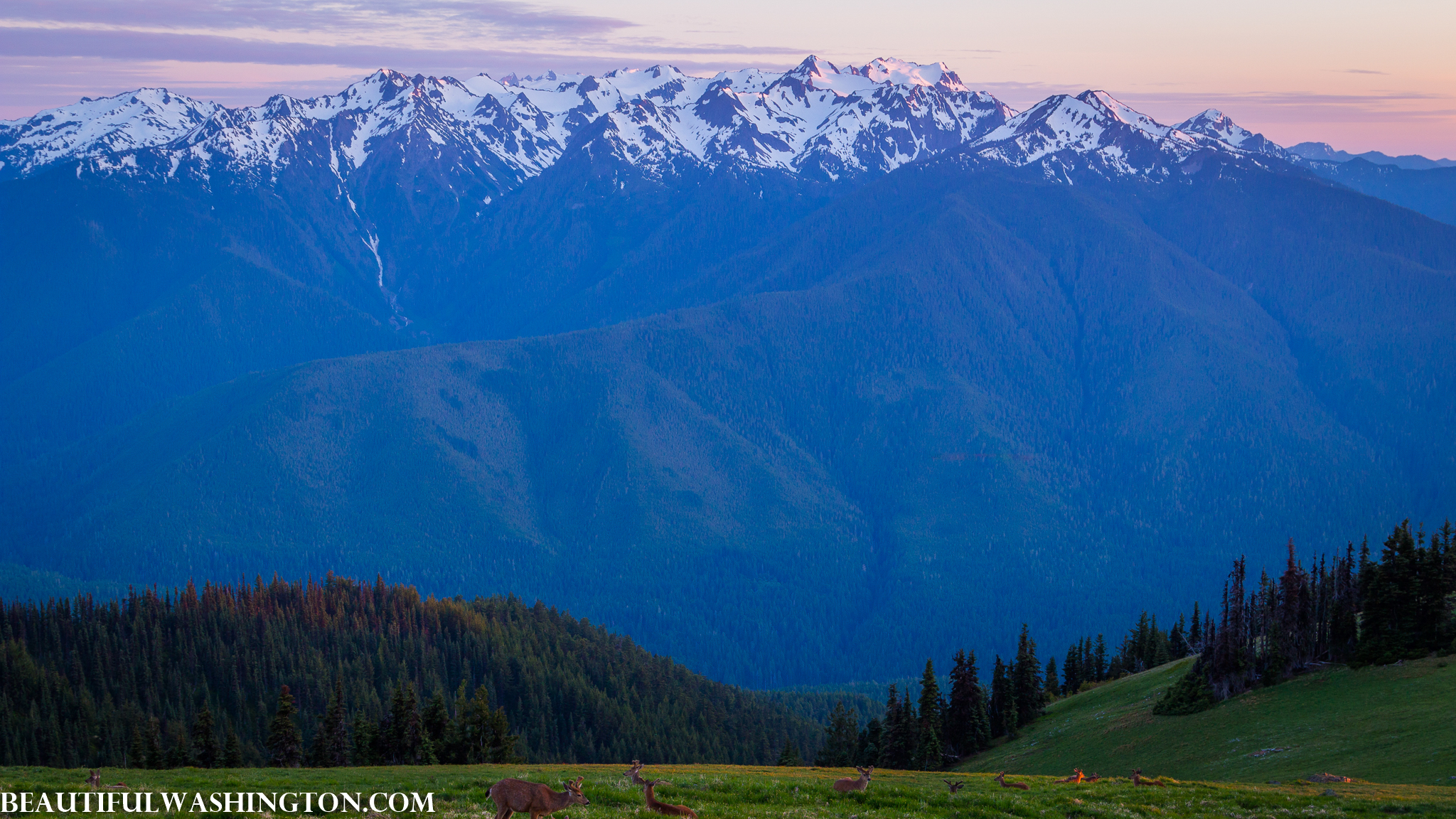 Photo from Washington State