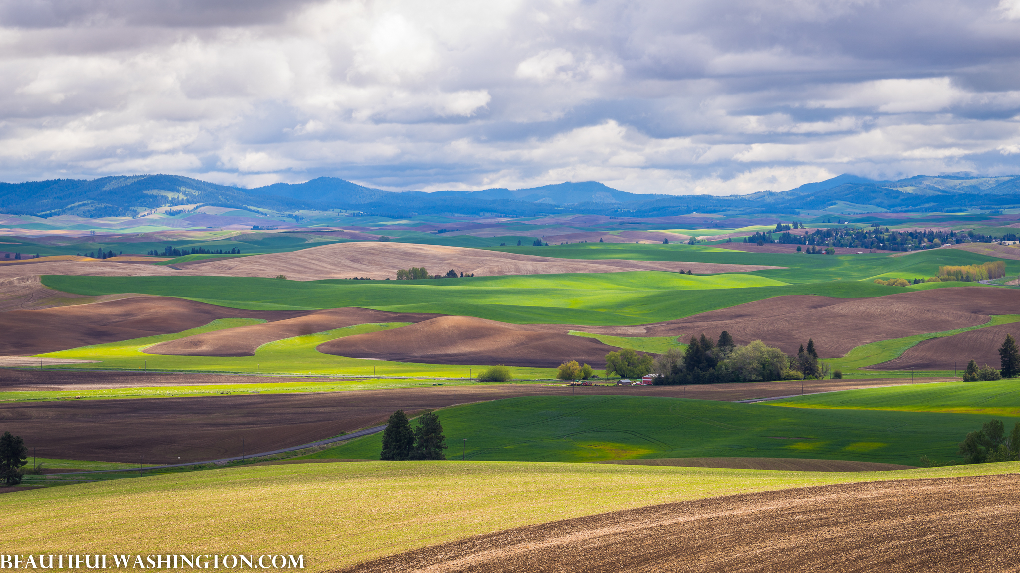 Photo from Washington State