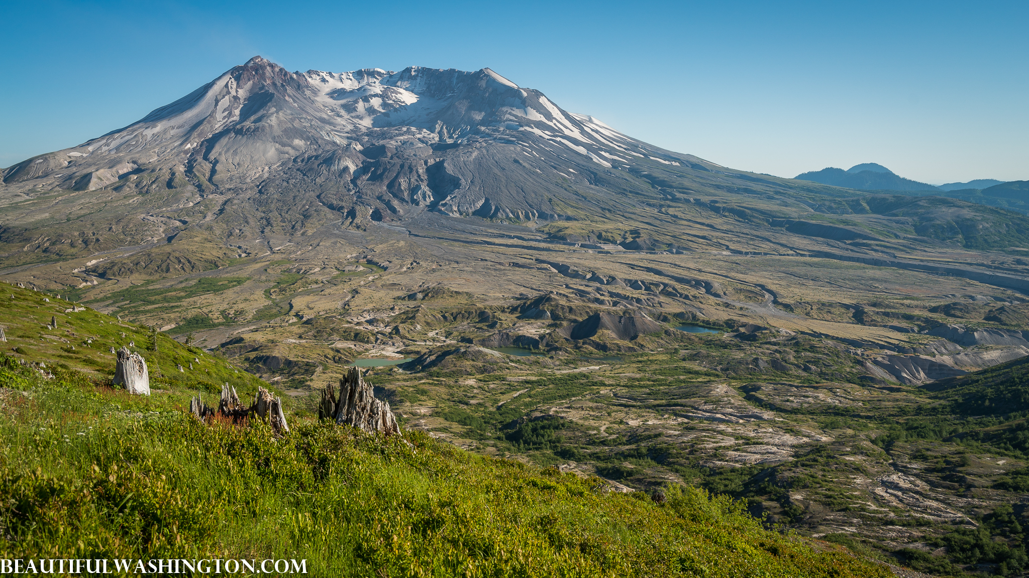 Photo from Washington State