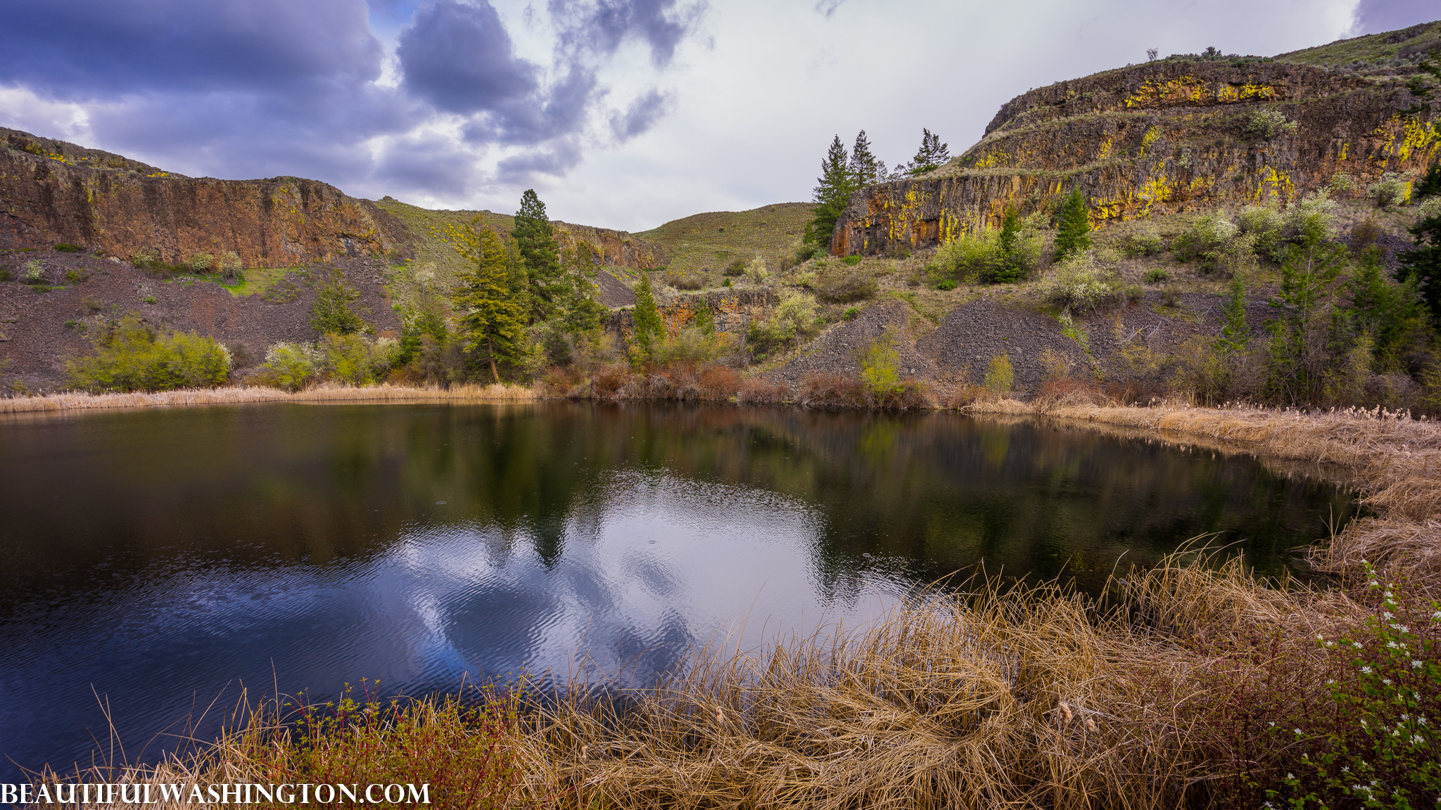 Photo from Washington State