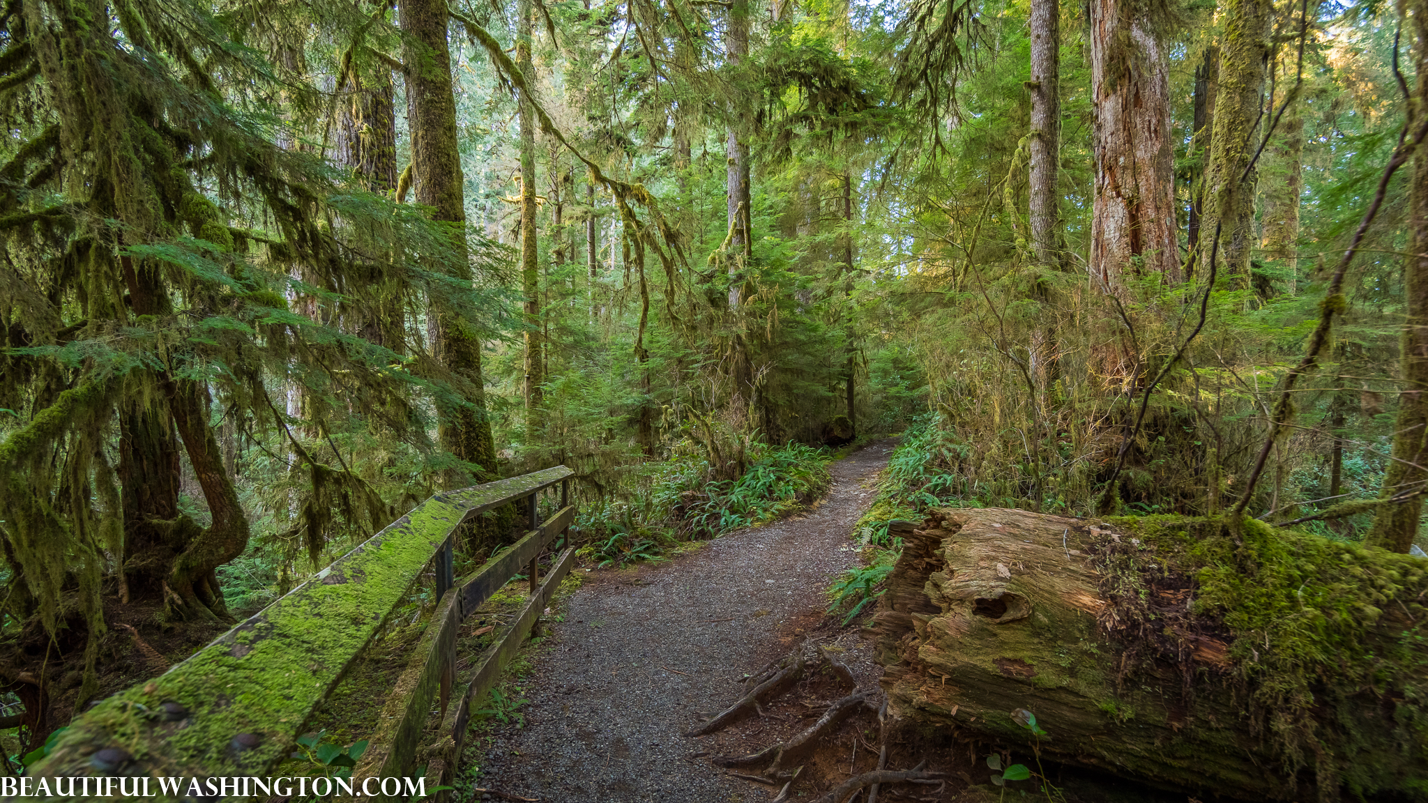 Photo from Washington State