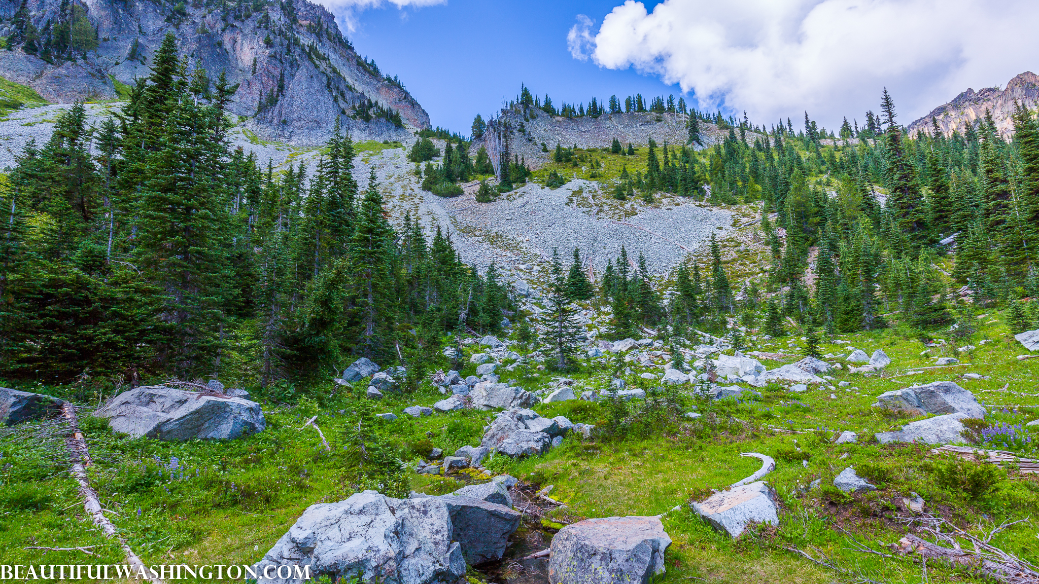 Photo from Washington State