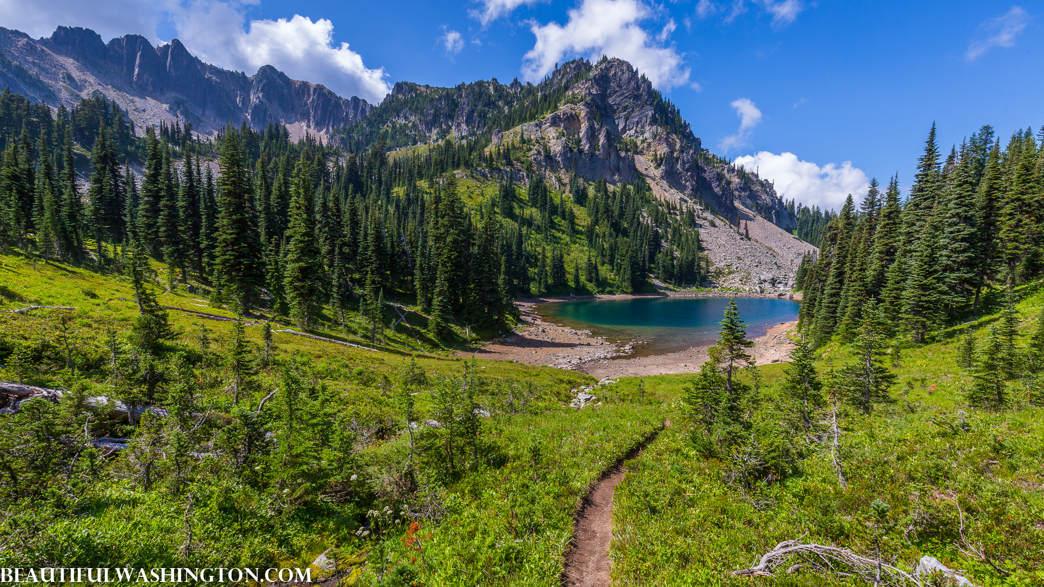 Photo from Washington State