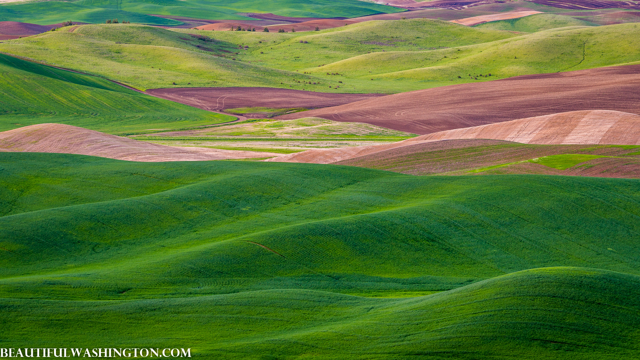 Photo from Washington State