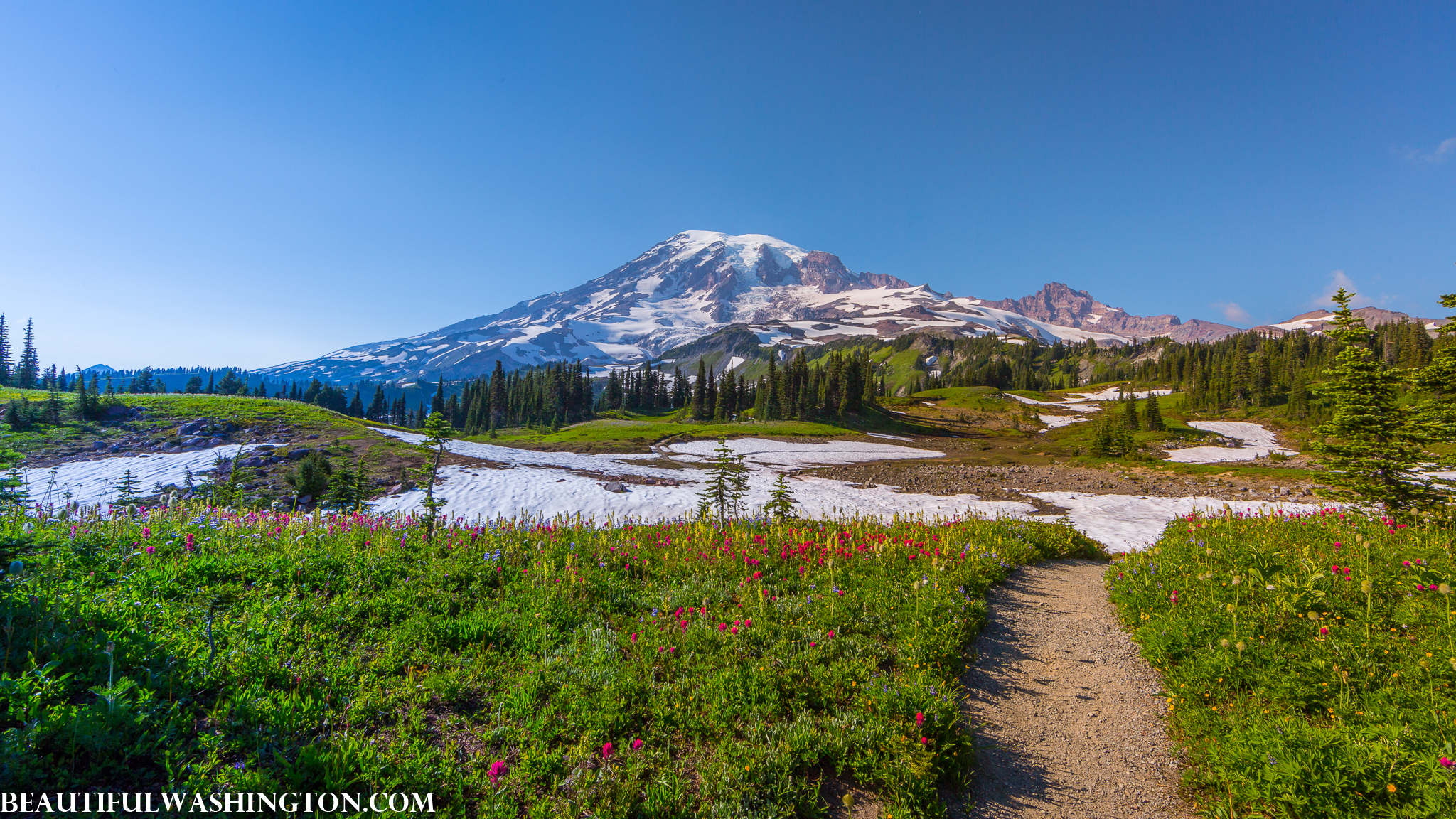 Photo from Washington State