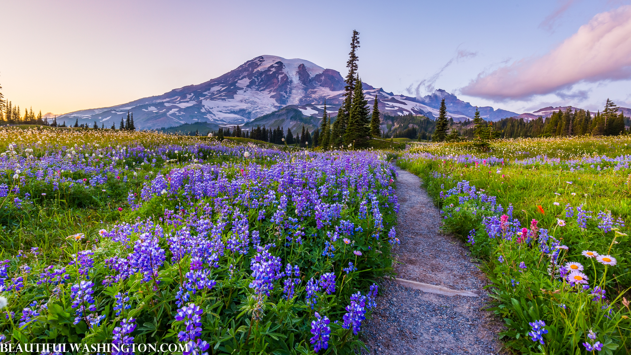 Photo from Washington State