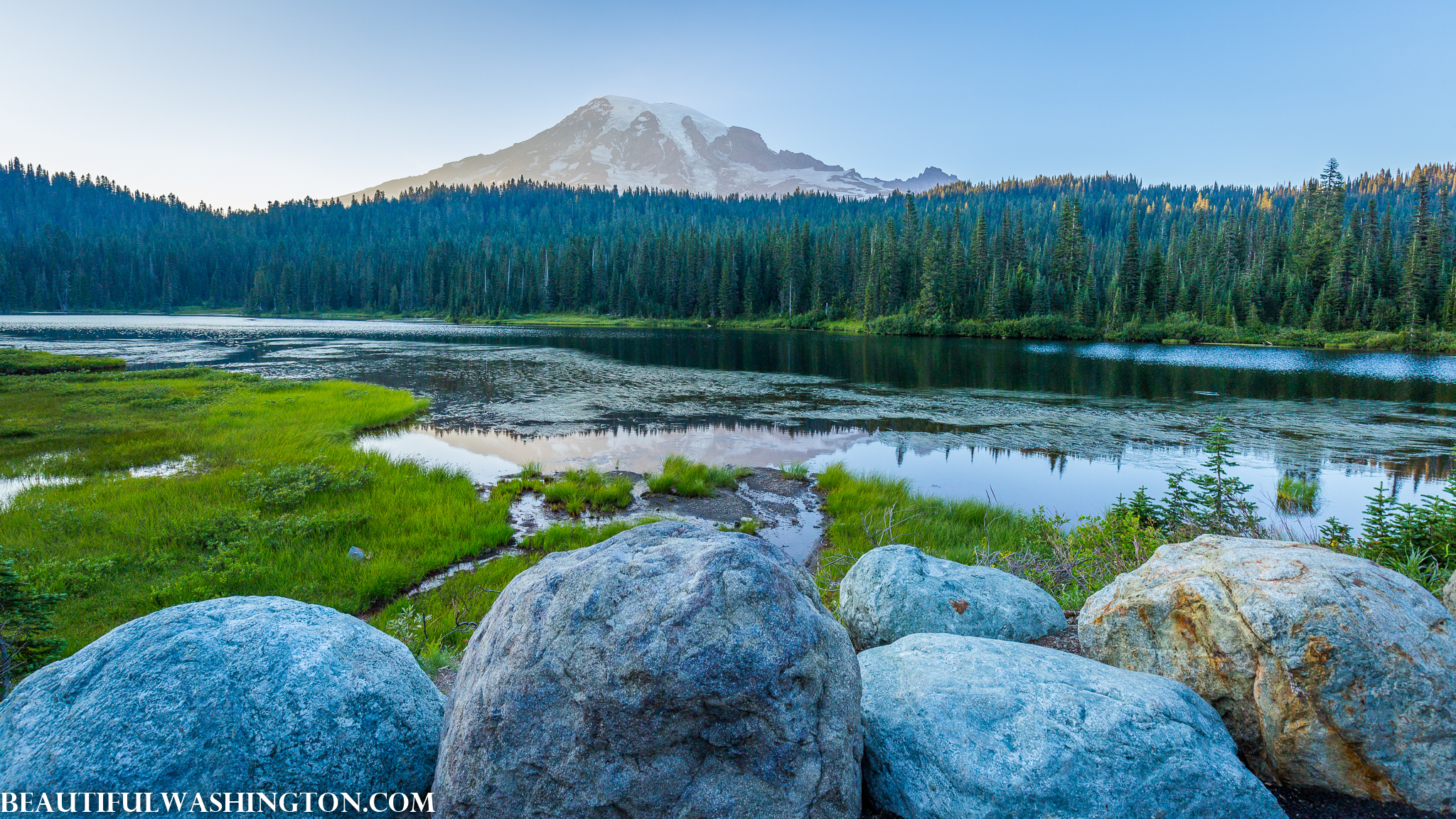 Photo from Washington State